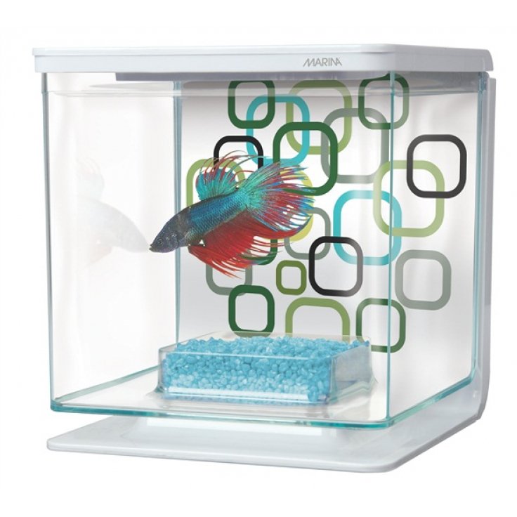 MARINA BETTA KIT 2L - Shopivet.com