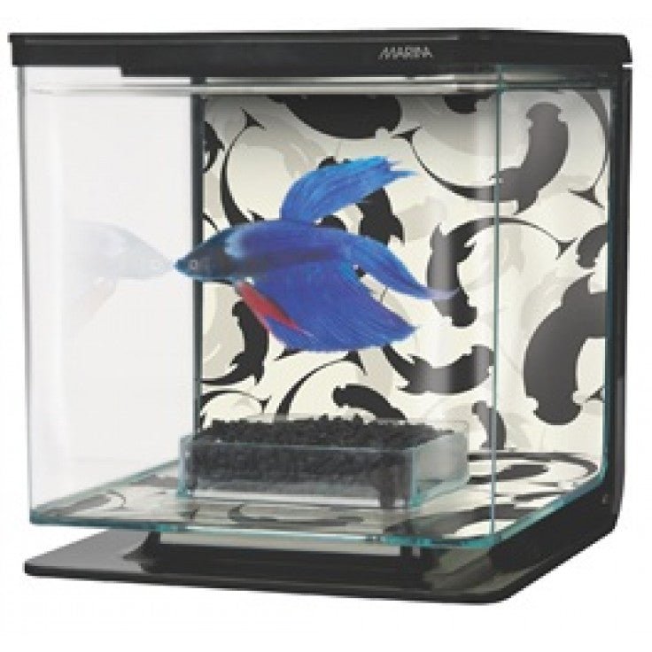 MARINA BETTA KIT - Shopivet.com