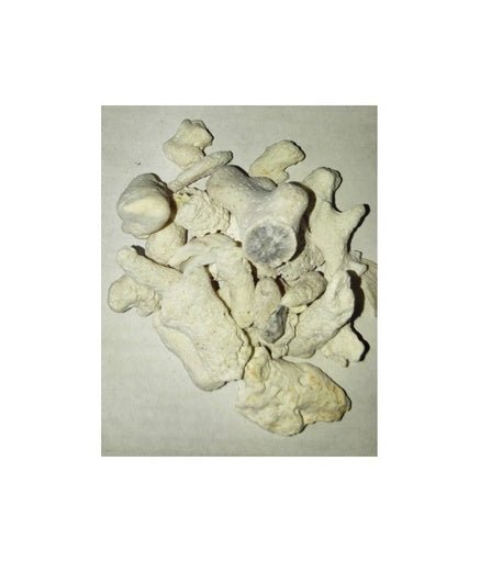 Marine Sand - Shopivet.com