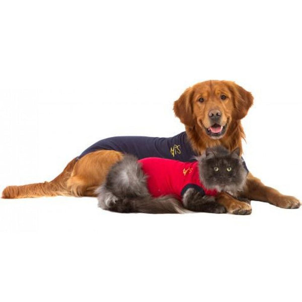 MEDICAL PET SHIRT STARTER PACK - Shopivet.com