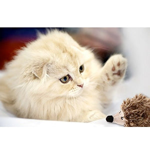 Melody Chaser Hedgehog w/ motion Activated Sound Chip - Shopivet.com
