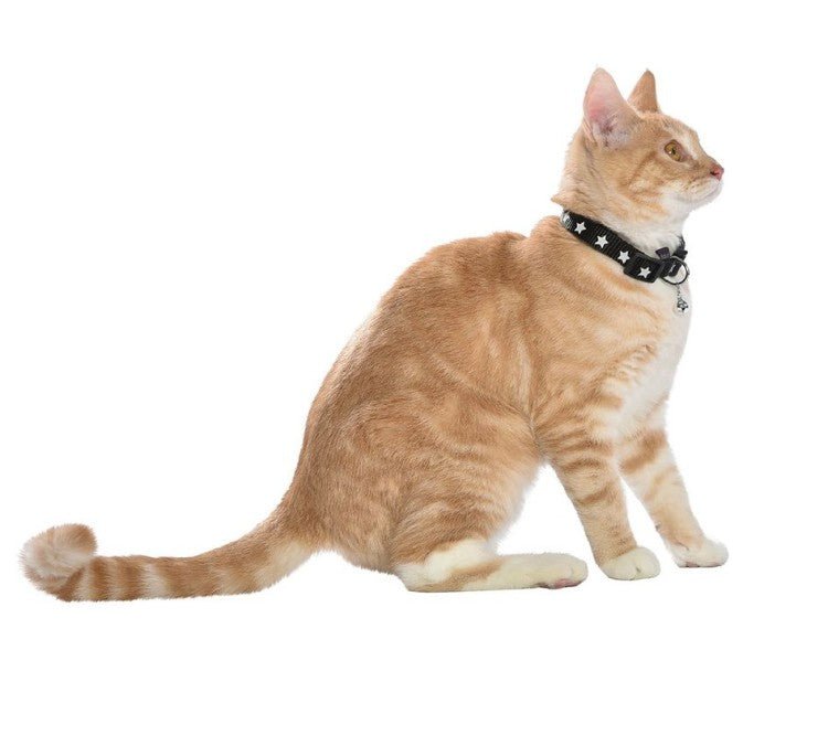 Midnight Cat Collar - Shopivet.com