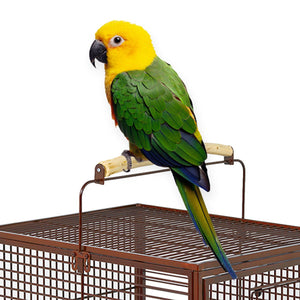 MidWest Avian Adventures Poquito Avian Hotel Bird Cage - platinum - Shopivet.com