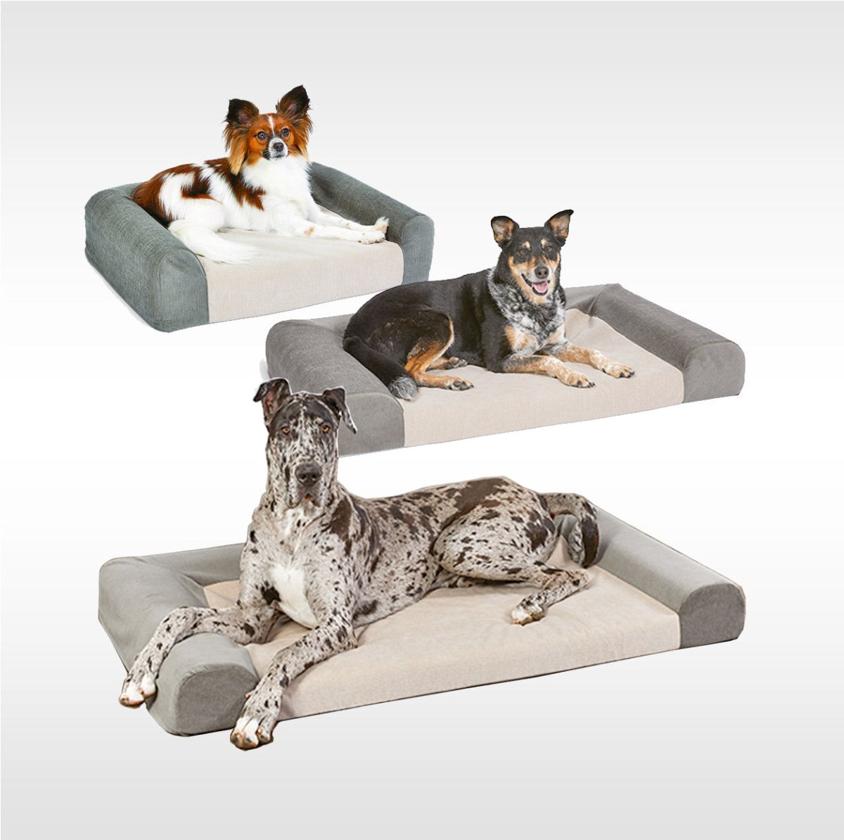 MidWest Signature QuietTime® Memory Foam Sofa Bed - grey - Shopivet.com