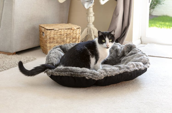 Mikki Cat Luxury Magic Pet Bed Pillow - Charcoal - Shopivet.com