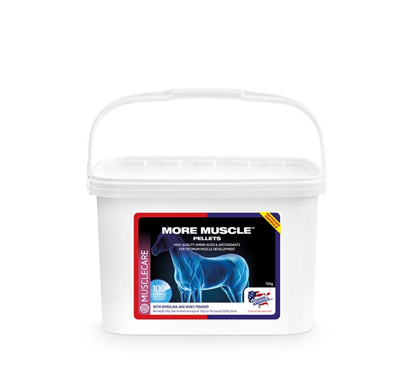 MORE MUSCLE PELLETS 10kg - Shopivet.com