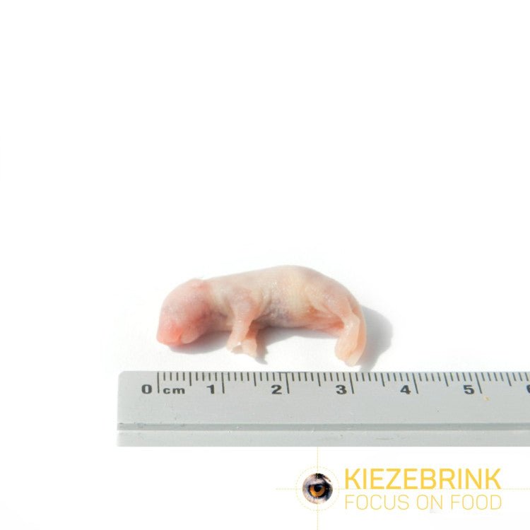 Mouse Pinks 1-4g, 1kg pack - Shopivet.com