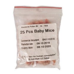 Mouse Pups 2g ECO PACK 25pcs - Shopivet.com