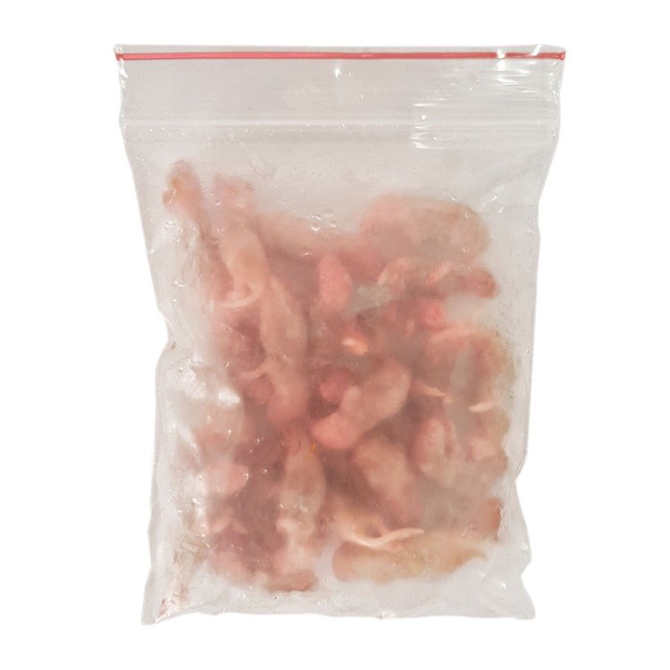 Mouse Pups 2g ECO PACK 25pcs - Shopivet.com