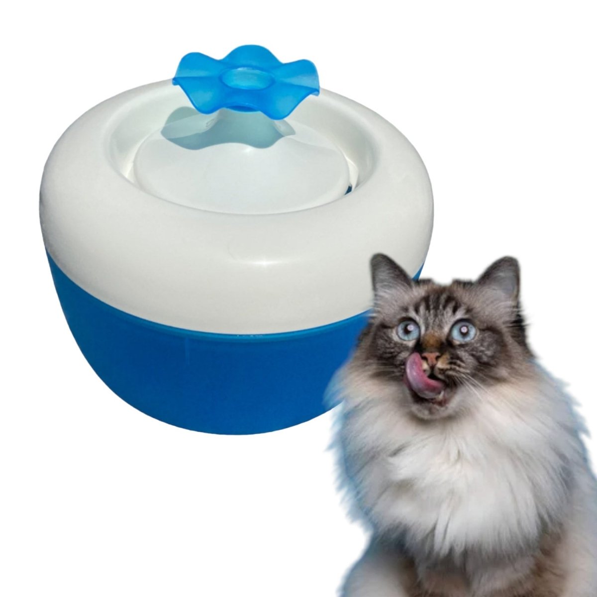 MP Bergamo MALAGA Water Fountain for Cats 1.7L (Flower) - air - blue - Shopivet.com
