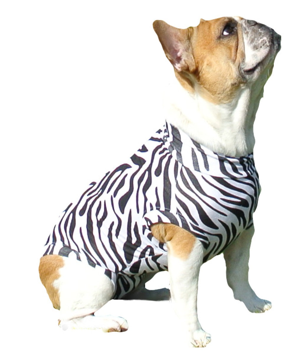 MPS Dog Medical Shirt Zebra Small Plus