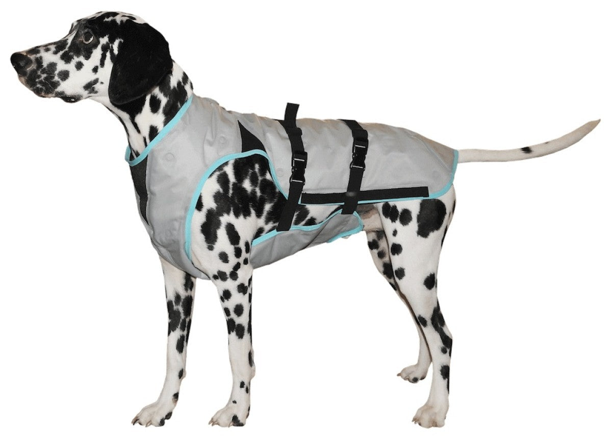 MPS Dry Cooling Vest Dog Small