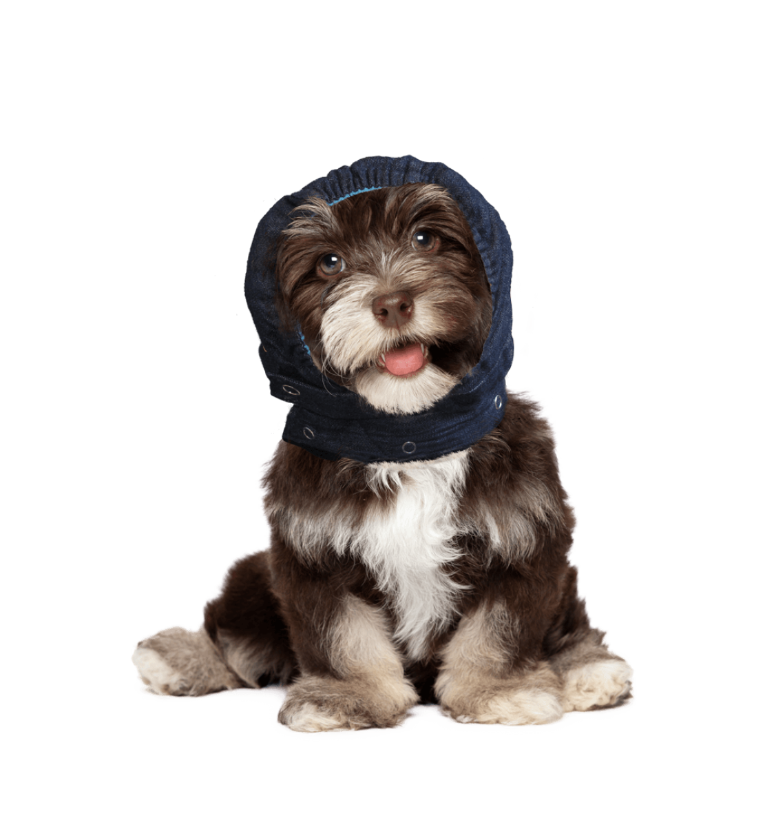 MPS Head Cover Small