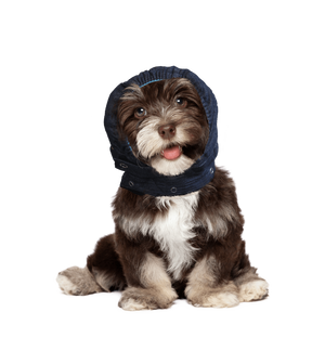MPS Head Cover Small