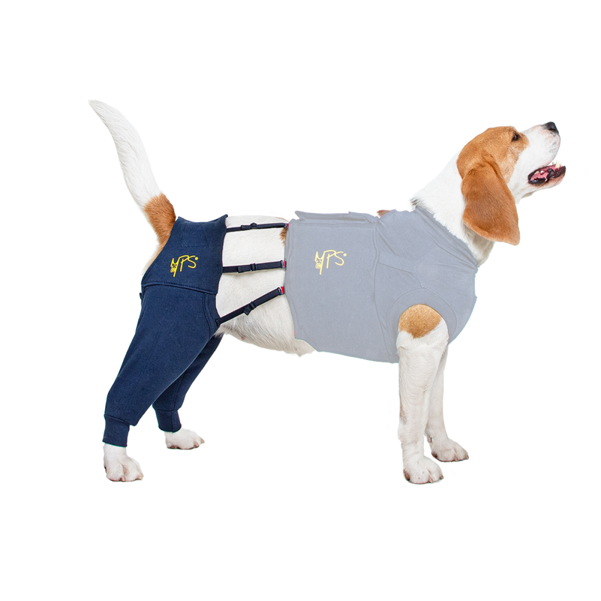 MPS Protective Hind Leg Sleeves Medium