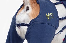 MPS Protective Hind Leg Sleeves - Medium - Shopivet.com