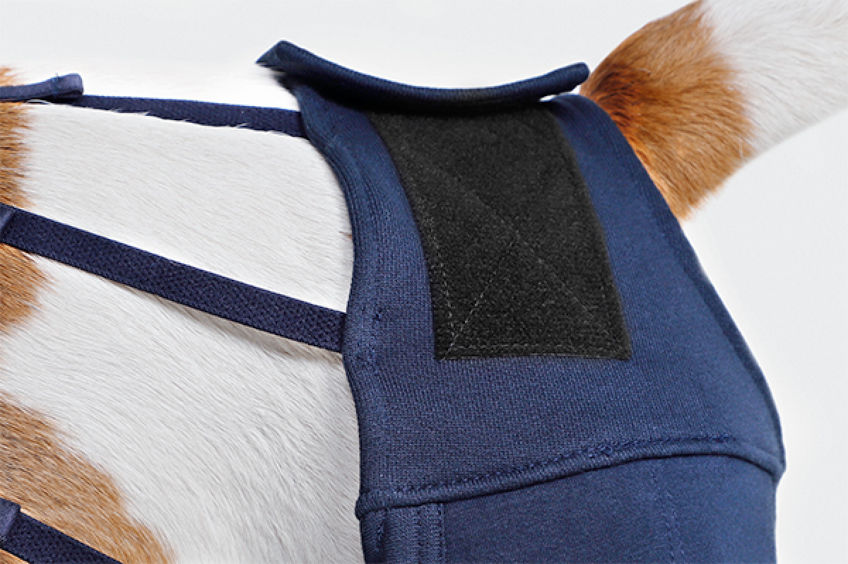 MPS Protective Hind Leg Sleeves Small