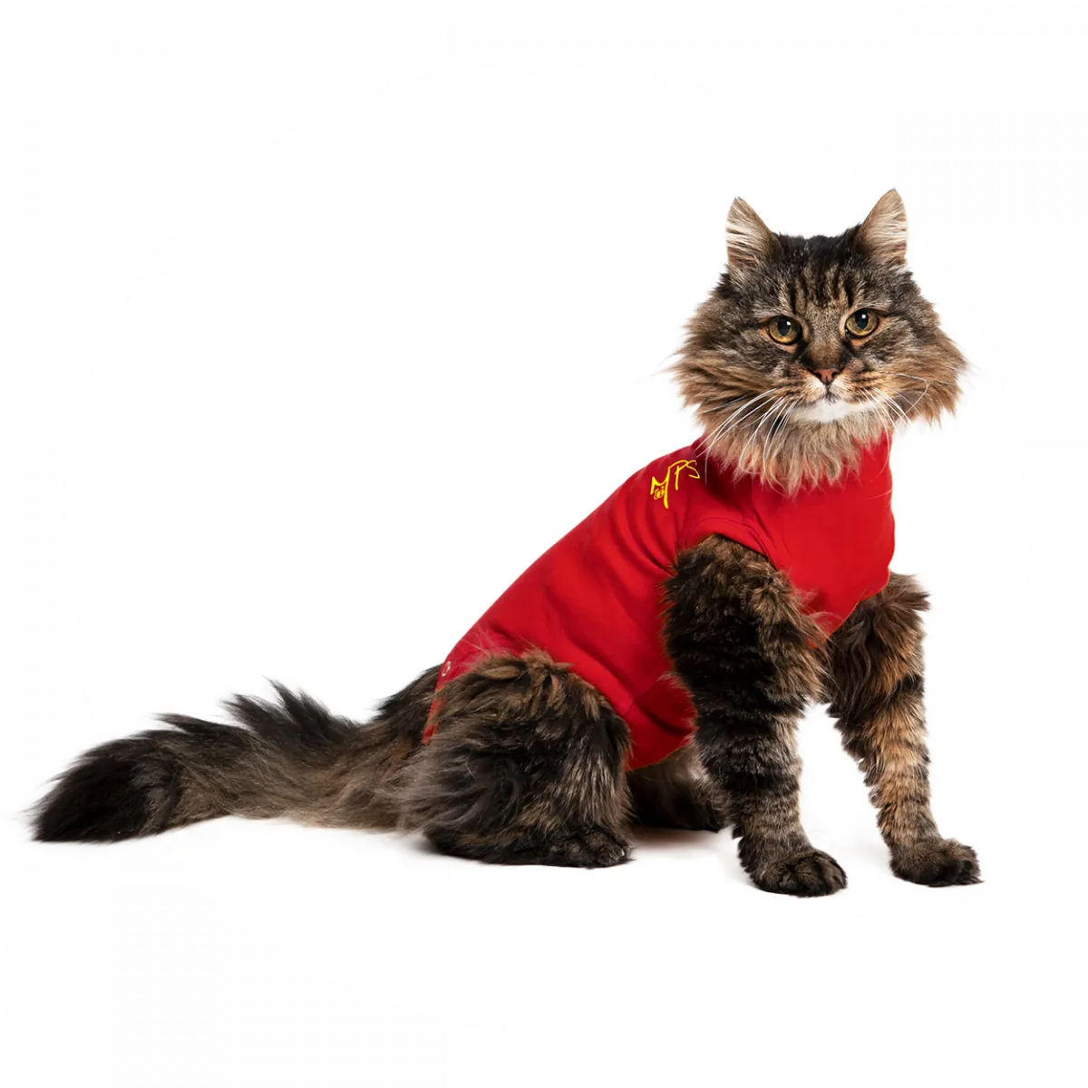 MPS Protective Pet Shirt for Cat, Red, 6XSmall