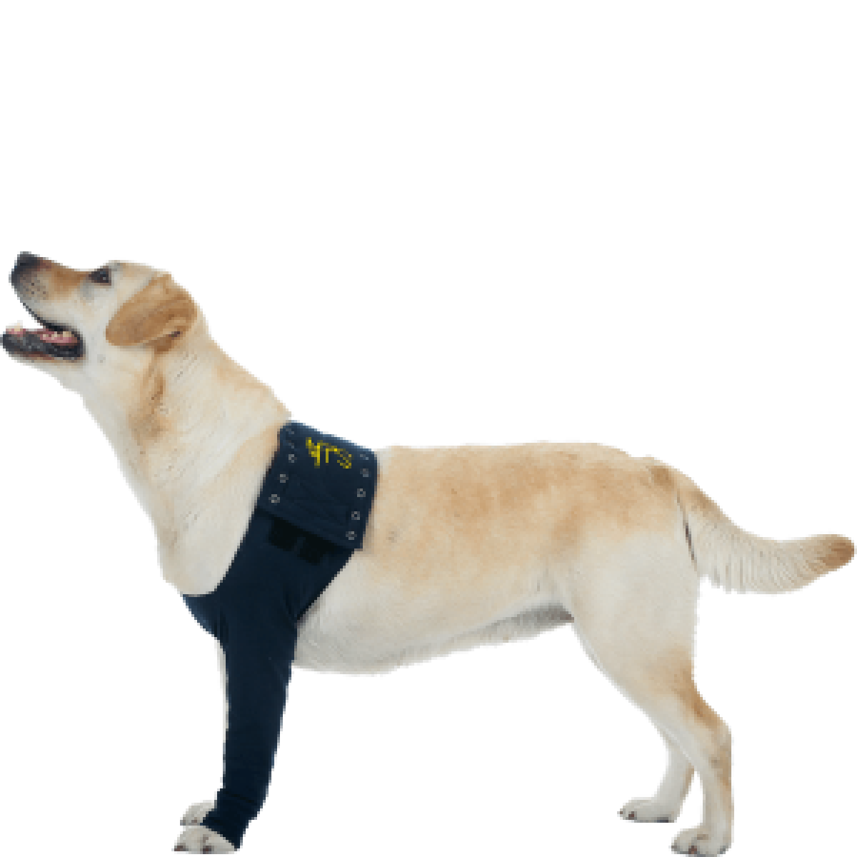 MPS TAZ Protective Leg Sleeve Large