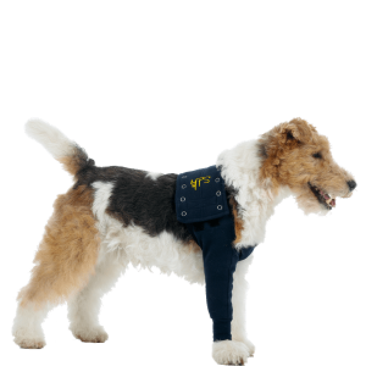 MPS TAZ Protective Leg Sleeve Medium
