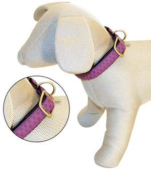 Mylord Leatherette Adjustable Dog Collar 26-40 x 1.5 cm, Purple