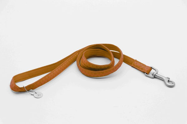 Mylord Leatherette Dog Leash 120 x 1 cm - Shopivet.com