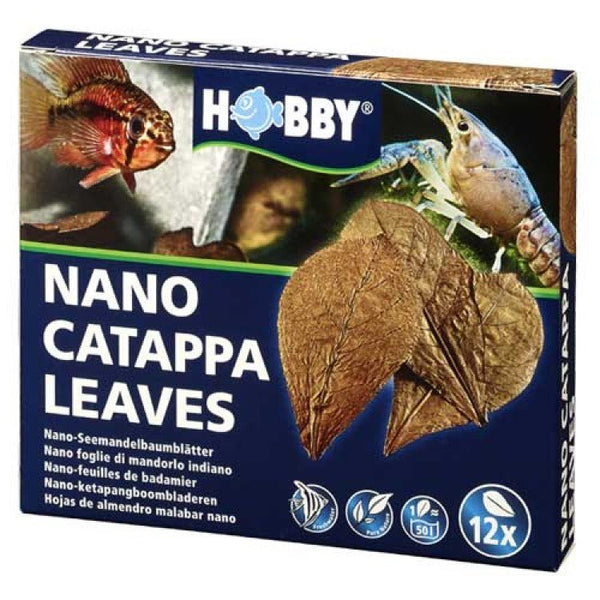 Nano Catappa Leaves (12 pcs) - Shopivet.com