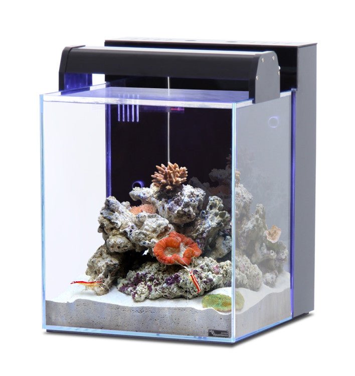 NANO MARIN 40 AQUARIUM OPTIWHITE GLASS BLACK - 32.9x34.8x42.8cm - Shopivet.com