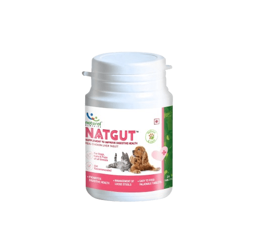 Natgut Digestive Supplement for Dogs & Cats, 24 Tablets - Shopivet.com