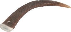 Natural Deer Antler Hard for Dogs Under 15Kg - Shopivet.com