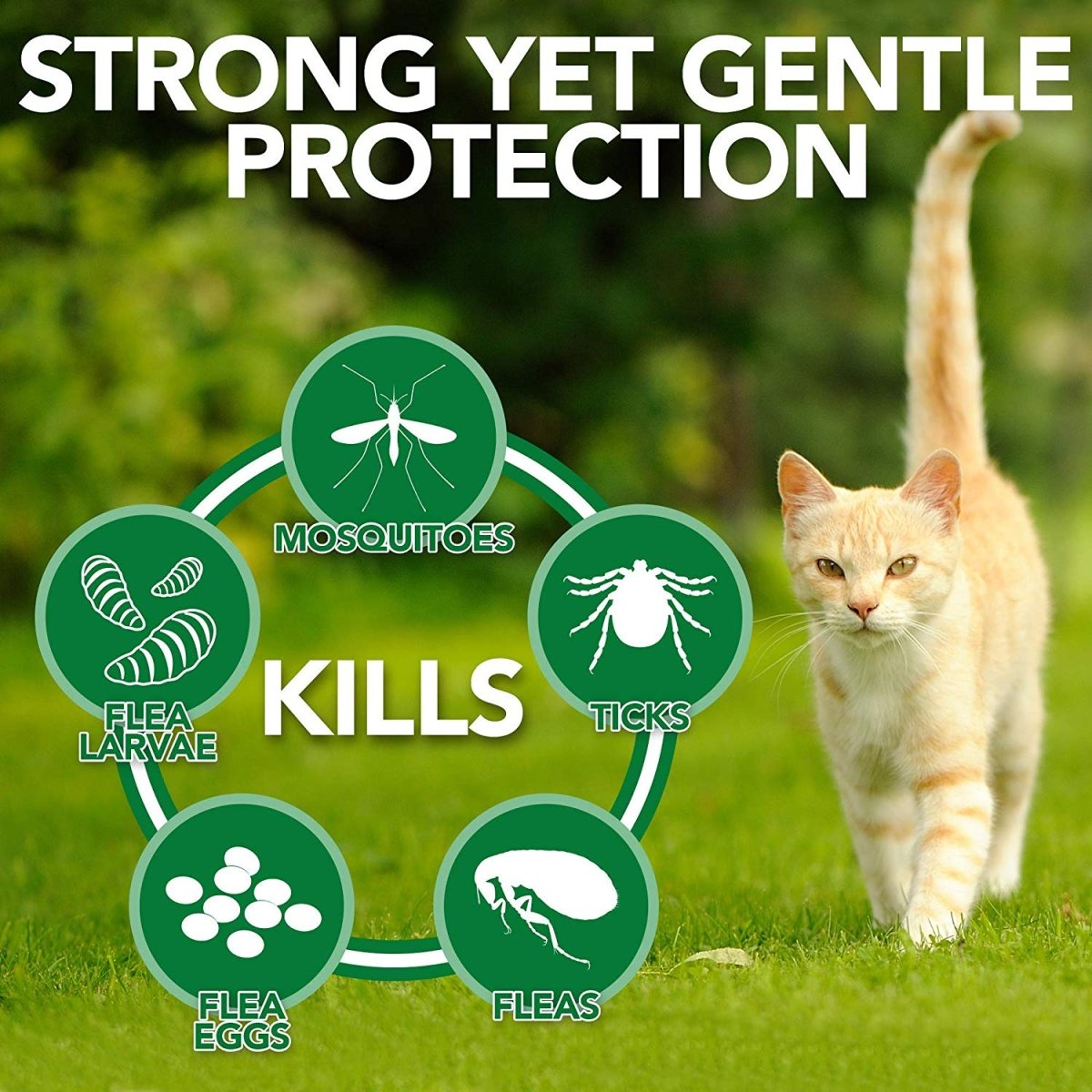 Natural Flea and Tick Home Spray for CATS, 32 oz - Shopivet.com