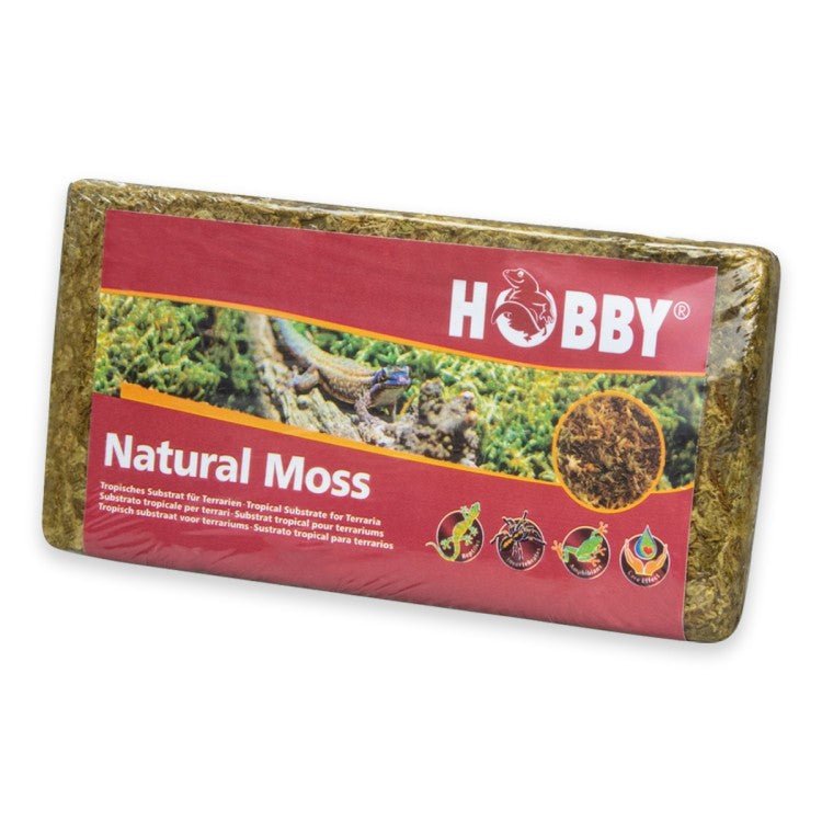 Natural Moss 100g - Shopivet.com