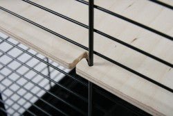 NEO MUKI LARGE RODENT CAGE - Shopivet.com