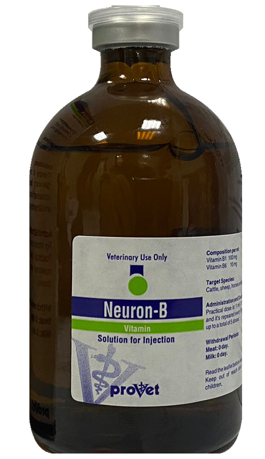 Neuron-B 100ml