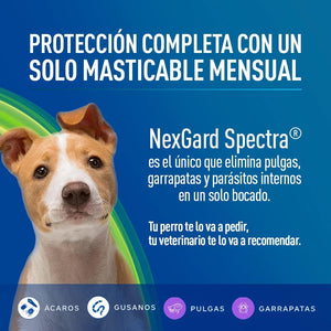 Nexgard Spectra 2-3.5 kg Tabs - very small - Shopivet.com