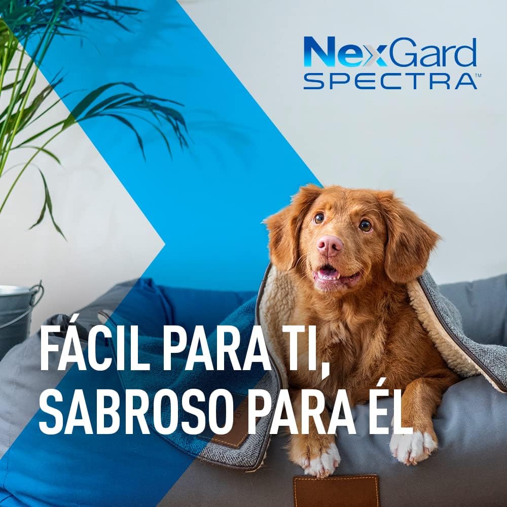 Nexgard Spectra 2-3.5 kg Tabs - very small - Shopivet.com