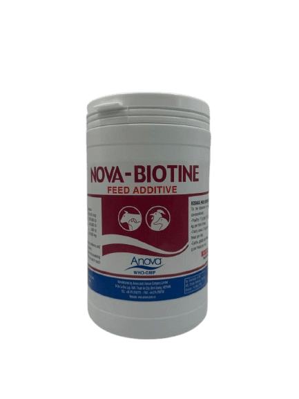 NOVA - BIOTINE 1 kg - Shopivet.com