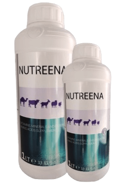 NUTREENA 1L - Shopivet.com