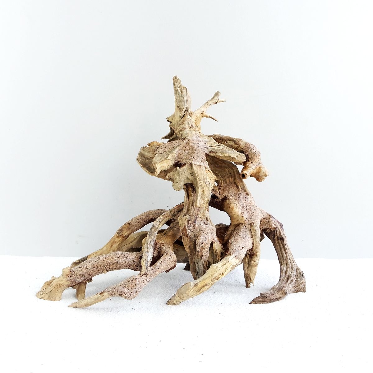 Octopus Wood Medium, 30x23x15 cm