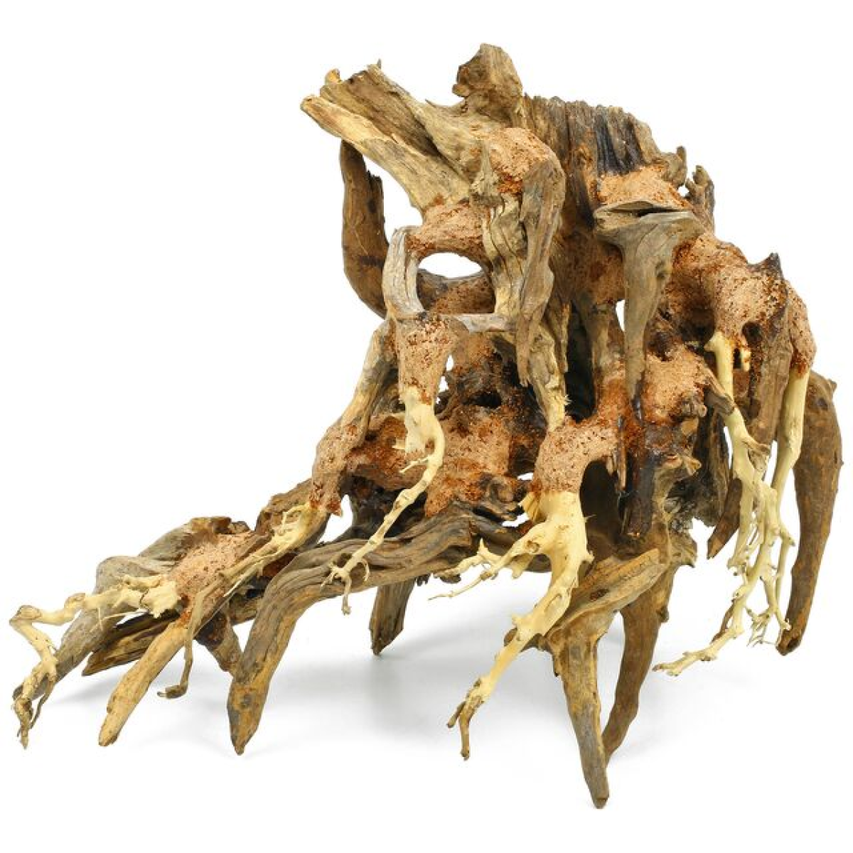 Octopus Wood Medium, 30x23x15 cm