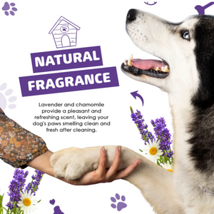 Dogslife Paw Cleaner Foam Shampoo with Brush & Towel 200ml - 200ML