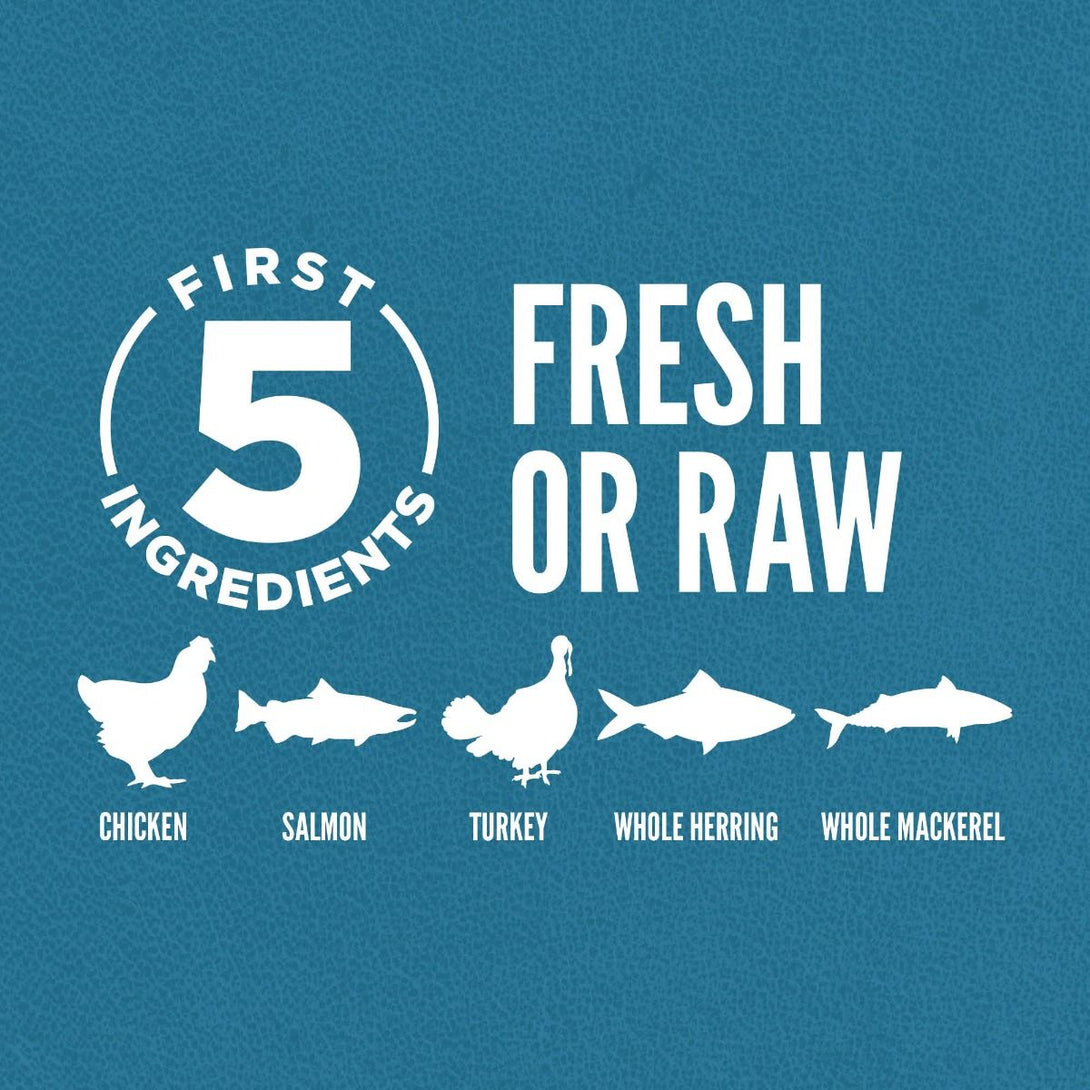 Orijen Guardian 8 Dry Cat Food 1.8kg - 1.8KG - Shopivet.com