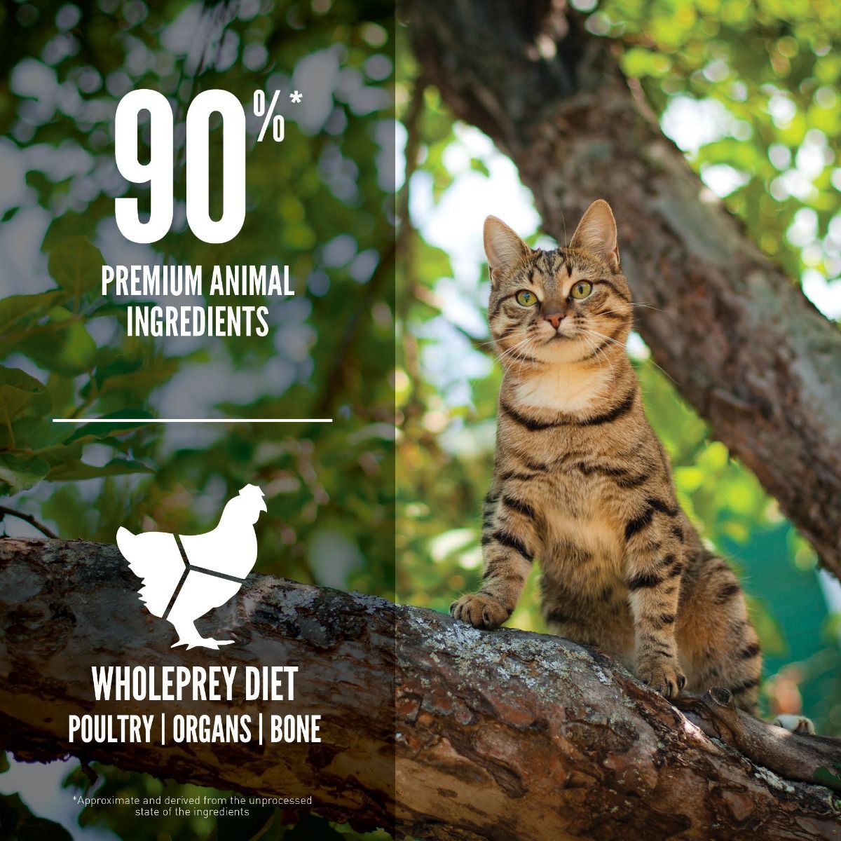 Orijen Guardian 8 Dry Cat Food 1.8kg - 1.8KG - Shopivet.com