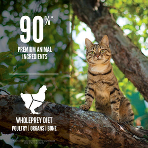 Orijen Guardian 8 Dry Cat Food 1.8kg - 1.8KG - Shopivet.com