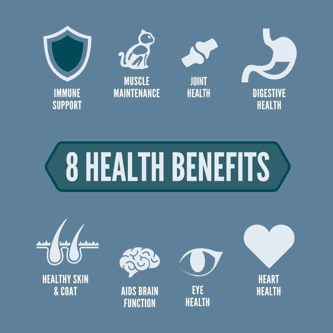 Orijen Guardian 8 Dry Cat Food 1.8kg - 1.8KG - Shopivet.com