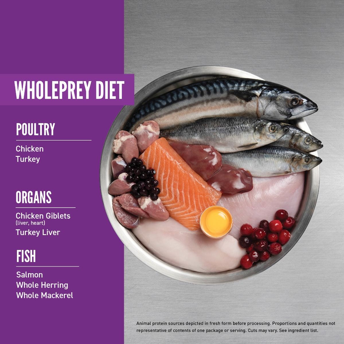 Orijen Kitten Dry Food 1.8kg - 1.8KG - Shopivet.com