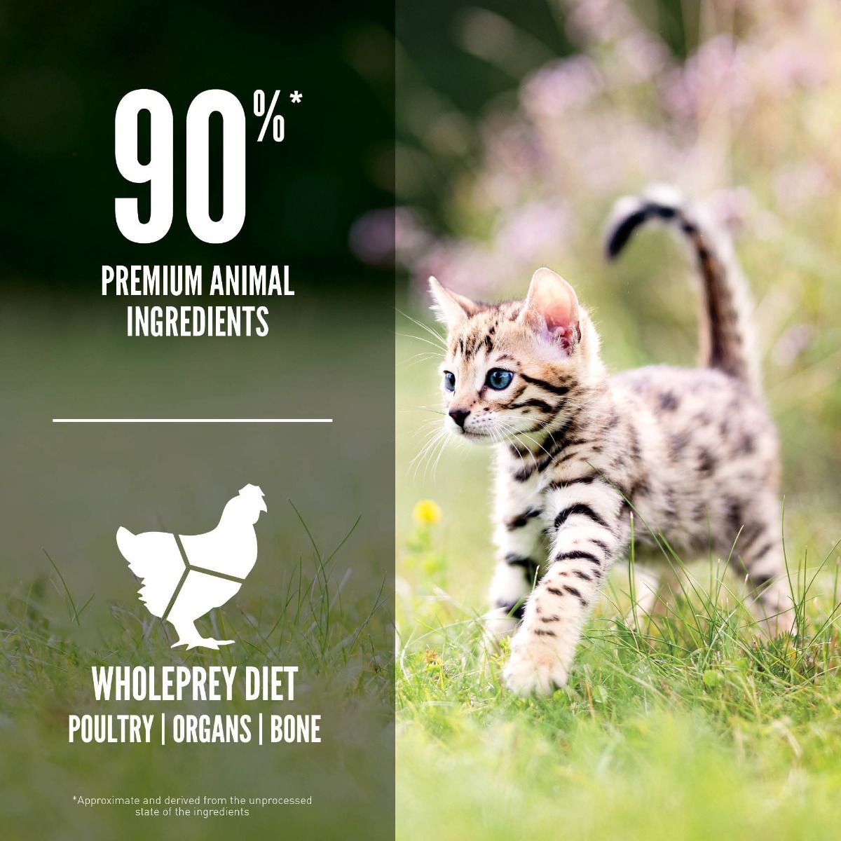 Orijen Kitten Dry Food 1.8kg - 1.8KG - Shopivet.com