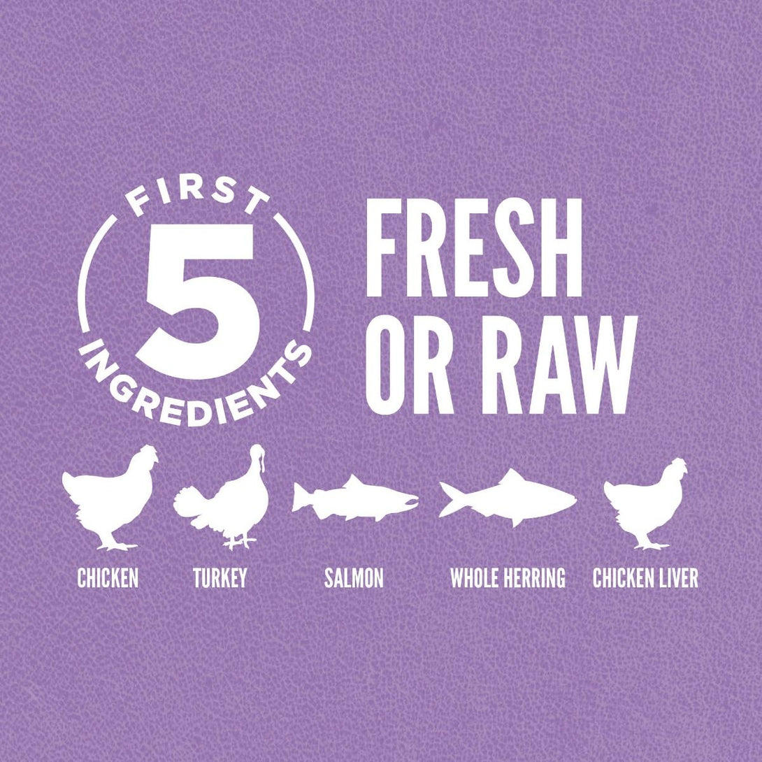 Orijen Kitten Dry Food 1.8kg - 1.8KG - Shopivet.com