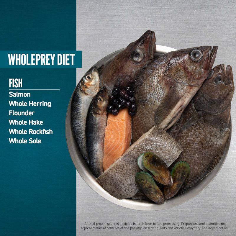 Orijen Marine Fish Small Breed Dry Dog Food 1.8kg - 1.8KG - Shopivet.com