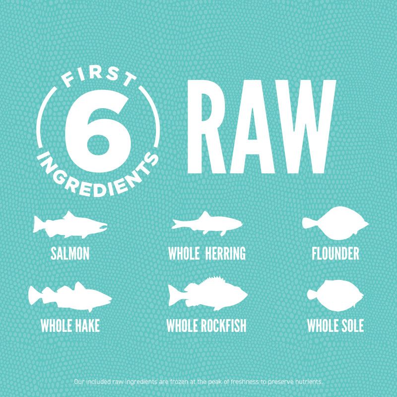 Orijen Marine Fish Small Breed Dry Dog Food 1.8kg - 1.8KG - Shopivet.com